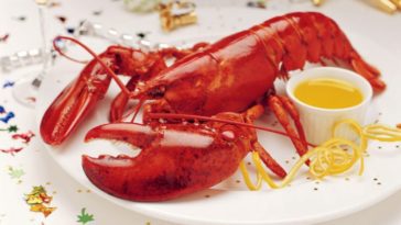 Boiled Lobster